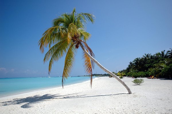 Où trouver les meilleures plages pour la plongée avec tuba en Polynésie française?