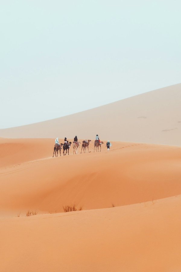 Comment organiser une expédition de trek dans les montagnes du Simien, Éthiopie : équipements et recommandations ?